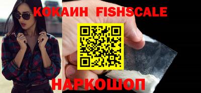шишки Новодвинск