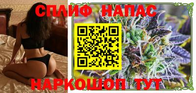 шишки Новодвинск