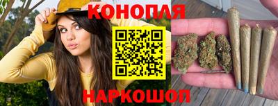 шишки Новодвинск