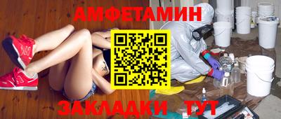 шишки Новодвинск