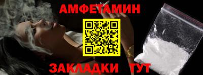 шишки Новодвинск