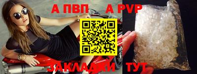 шишки Новодвинск