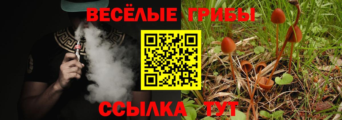 Скопин  Галлюциногенные грибы Cubensis  цены   Вход с VPN 